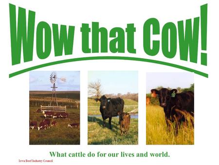 Iowa Beef Industry Council What cattle do for our lives and world.