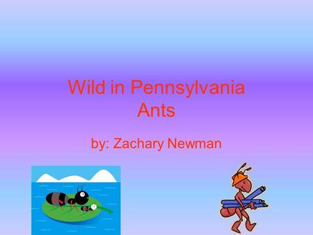 Wild in Pennsylvania Ants by: Zachary Newman. Introduction Do you want to steal from picnics? You can if you are an ant. I hope you are interested in.