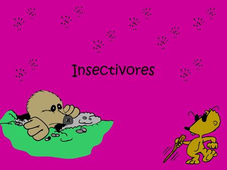 Insectivores.