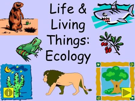 Life & Living Things: Ecology Objective: State the effects of the producer/consumer on the environment. (Strand VIII-AI) Related Vocabulary: ecology.