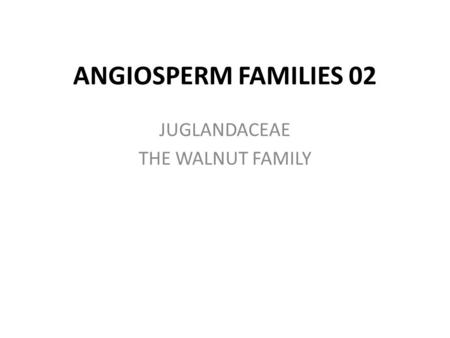 ANGIOSPERM FAMILIES 02 JUGLANDACEAE THE WALNUT FAMILY.