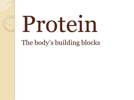 Protein The body’s building blocks. Proteins main function Build and repair body tissue Provides some energy.