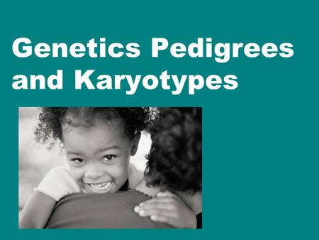 Genetics Pedigrees and Karyotypes