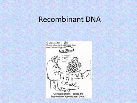 Recombinant DNA. Review Restriction enzymes cut DNA molecules at certain ‘restricted’ points A plasmid is also cut at the same point The ends match up.