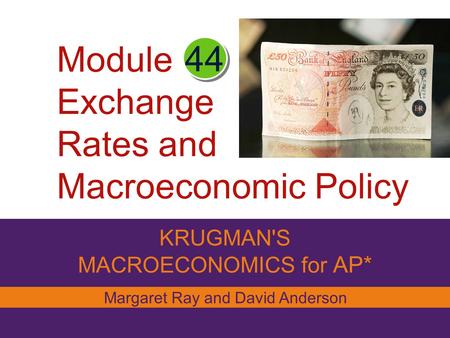 Module Exchange Rates and Macroeconomic Policy KRUGMAN'S MACROECONOMICS for AP* 44 Margaret Ray and David Anderson.