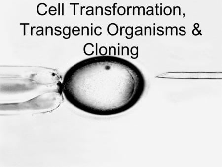 Cell Transformation, Transgenic Organisms & Cloning