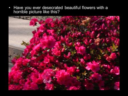 Have you ever desecrated beautiful flowers with a horrible picture like this?