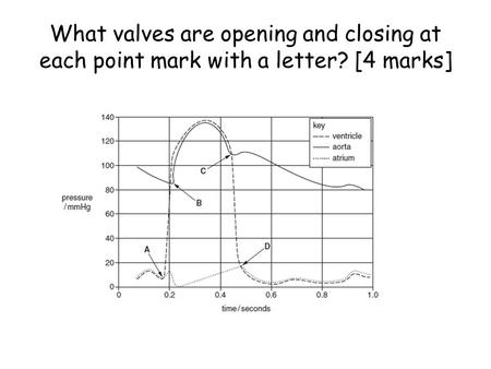 What valves are opening and closing at each point mark with a letter? [4 marks]