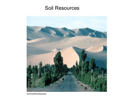 Soil Resources 14.