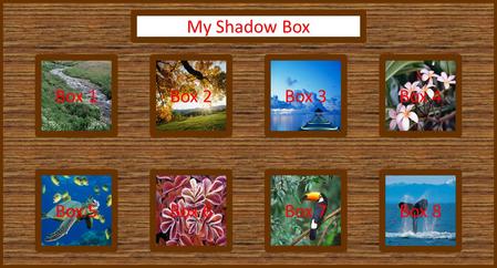 Box 1Box 4Box 3Box 2 Box 5Box 8Box 7Box 6 My Shadow Box.