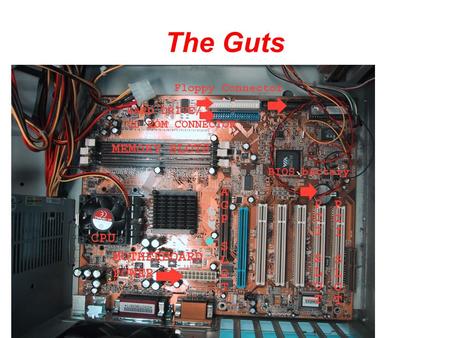 The Guts. CPU CPU Socket The CPU is generally a 2 inch ceramic square with a silicon chip located inside. The chip usually about the size of a thumbnail.