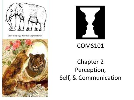 COMS101 Chapter 2 Perception, Self, & Communication.