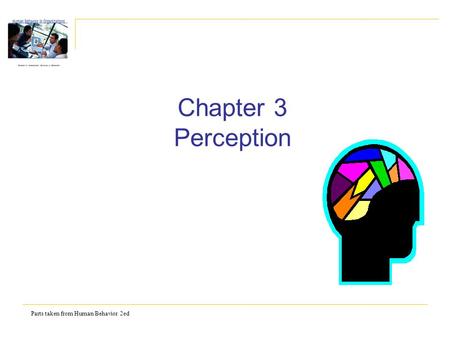 Parts taken from Human Behavior 2ed Chapter 3 Perception.