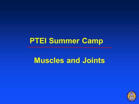 PTEI Summer Camp Muscles and Joints. What are Muscles? Units are bundled together with various connective tissues Myofibril consists of bands of actin.
