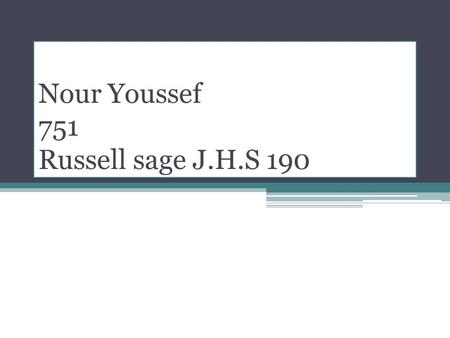 Nour Youssef 751 Russell sage J.H.S 190. I like my twin brothers.