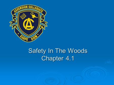 Safety In The Woods Chapter 4.1. Preparation For The Woods Preparation & common sense are the keys to having an enjoyable outdoor activity and returning.