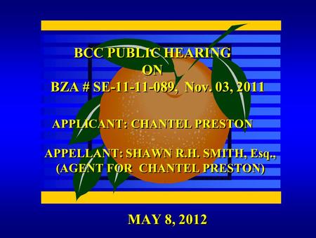 MAY 8, 2012 BCC PUBLIC HEARING ON BZA # SE-11-11-089, Nov. 03, 2011 APPLICANT: CHANTEL PRESTON APPELLANT: SHAWN R.H. SMITH, Esq., (AGENT FOR CHANTEL PRESTON)