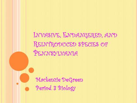 I NVASIVE, E NDANGERED, AND R EINTRODUCED SPECIES OF P ENNSYLVANIA Mackenzie DeGreen Period. 3 Biology.