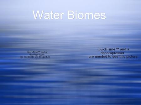 Water Biomes. Watersheds Watersheds An area of land that drains rainfall and snowmelt into a particular body of water. Pennsylvania is host to 83,184.