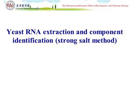 The Education and Research Office of Biochemistry and Molecular Biology Yeast RNA extraction and component identification (strong salt method)