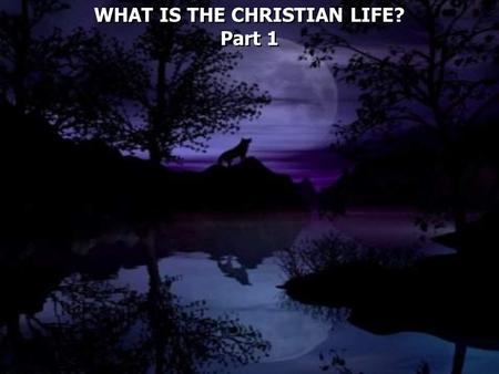 WHAT IS THE CHRISTIAN LIFE? Part 1 WHAT IS THE CHRISTIAN LIFE? Part 1.