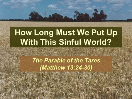 How Long Must We Put Up With This Sinful World? The Parable of the Tares (Matthew 13:24-30)