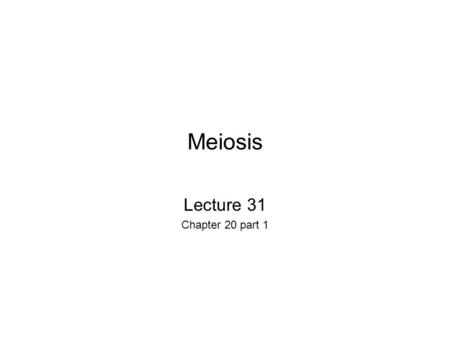Meiosis Lecture 31 Chapter 20 part 1. Q1 Name the 5 stages of mitosis? Prophase Prometaphase Metaphase Anaphase Telophase.