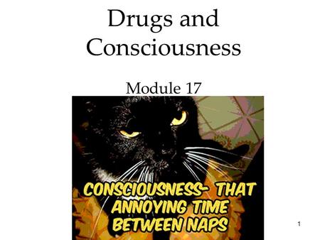 1 Drugs and Consciousness Module 17. 2 States of Consciousness Overview Drugs and Consciousness  Dependence and Addiction  Psychoactive Drugs  Influences.