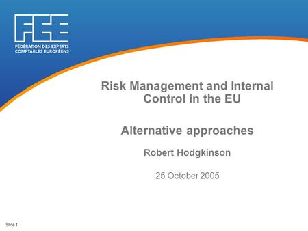 Slide 1 Risk Management and Internal Control in the EU Alternative approaches Robert Hodgkinson 25 October 2005.
