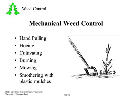 362.T1 Model Agricultural Core Curriculum: Supplement University of California, Davis Weed Control Mechanical Weed Control Hand Pulling Hoeing Cultivating.