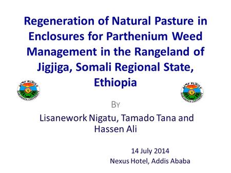 Regeneration of Natural Pasture in Enclosures for Parthenium Weed Management in the Rangeland of Jigjiga, Somali Regional State, Ethiopia B Y Lisanework.