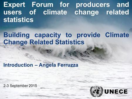 . Expert Forum for producers and users of climate change related statistics Building capacity to provide Climate Change Related Statistics Introduction.
