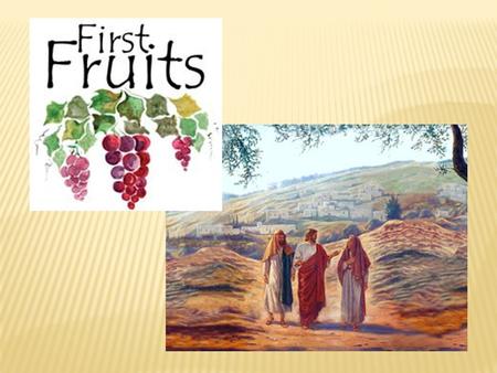 First-fruits a taste of tomorrow First-fruits – our hope when there’s sorrow Jesus rose up from the dead To show His people the world that’s ahead.