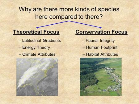Why are there more kinds of species here compared to there? Theoretical FocusConservation Focus – Latitudinal Gradients – Energy Theory – Climate Attributes.