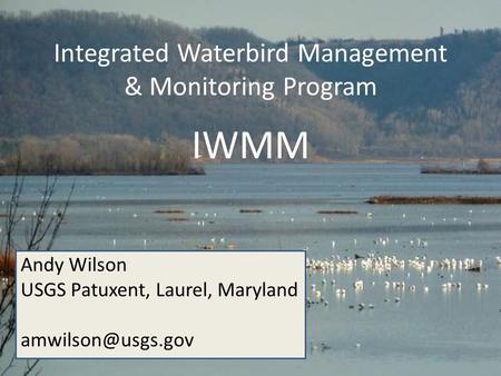 Integrated Waterbird Management & Monitoring Program IWMM Andy Wilson USGS Patuxent, Laurel, Maryland