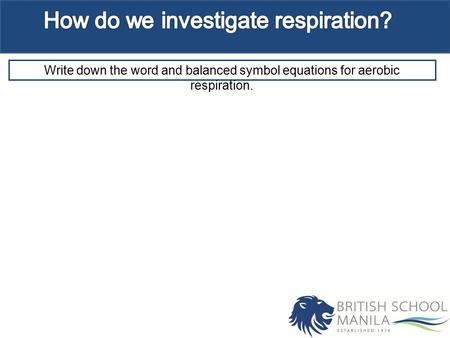 Write down the word and balanced symbol equations for aerobic respiration.