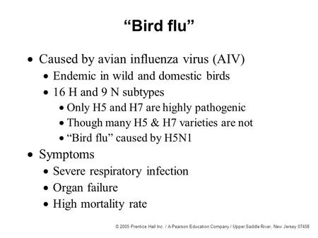 © 2005 Prentice Hall Inc. / A Pearson Education Company / Upper Saddle River, New Jersey 07458 “Bird flu”  Caused by avian influenza virus (AIV)  Endemic.
