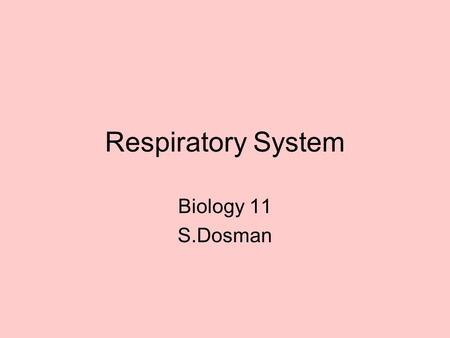 Respiratory System Biology 11 S.Dosman.