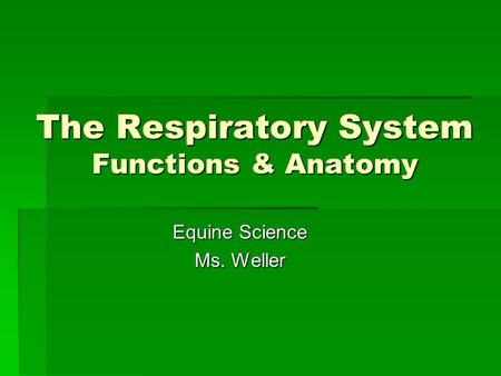 The Respiratory System Functions & Anatomy