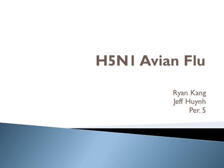 Ryan Kang Jeff Huynh Per. 5.  Virus  Subtype H5N1 influenza A strain  Usually unlikely to transfer from birds to humans  Human to Human infection.