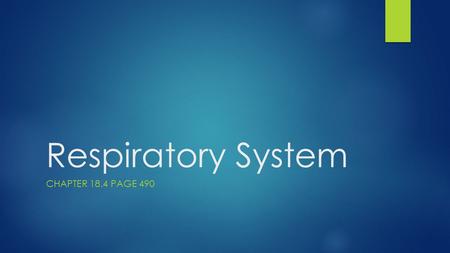 Respiratory System CHAPTER 18.4 PAGE 490. Overview of the respiratory system.
