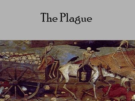 The Plague. “This is the end of the World” 50 million dead in Europe 1/3 of the total population Higher death rate in some places Ships with everyone.