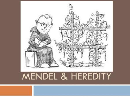 MENDEL & HEREDITY. Are You Ready For This? Can You…  Define the term gamete.  Summarize the relationship between chromosomes and genes?  Differentiate.