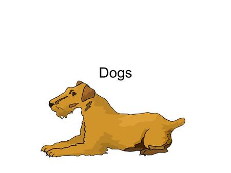 Dogs. Varieties Groups: Herding, Toy, Non-sporting, Hounds, Terriers, Working, Sporting Purebred – Mom and dad belong to same breed Pedigree – record.