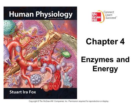 Copyright © The McGraw-Hill Companies, Inc. Permission required for reproduction or display. Chapter 4 Enzymes and Energy.