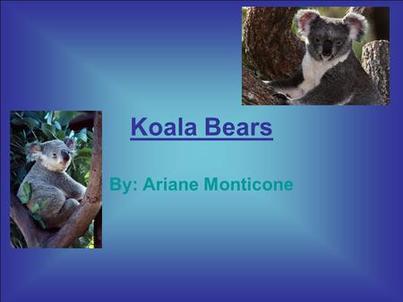 Koala Bears By: Ariane Monticone. Koala bears are interesting animals. Let’s go and learn all about this cool animal. There are so many facts about them.