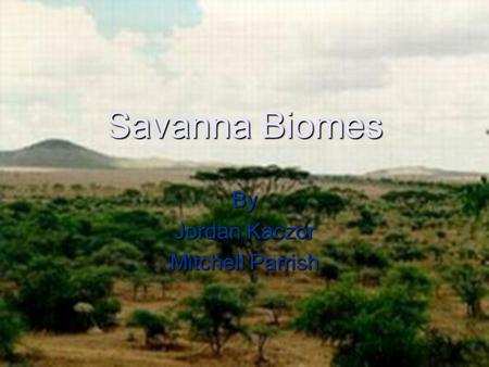 Savanna Biomes By Jordan Kaczor Mitchell Parrish.