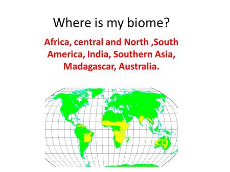 Where is my biome? Africa, central and North,South America, India, Southern Asia, Madagascar, Australia.
