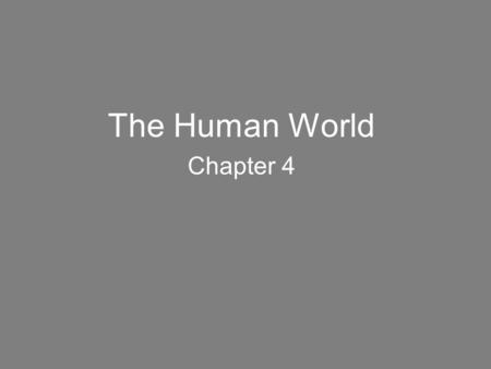 The Human World Chapter 4. Elements of culture: –All human groups have a culture. Each culture has shared and unique sets of behaviors and attitudes –Language.