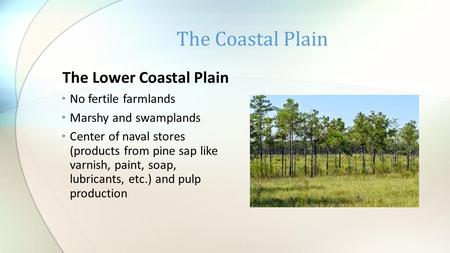 The Lower Coastal Plain No fertile farmlands Marshy and swamplands Center of naval stores (products from pine sap like varnish, paint, soap, lubricants,